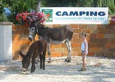 Aire naturelle de camping Le Bonheur est dans le Pré