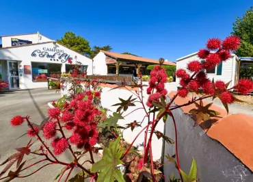Camping le Pont d'Yeu