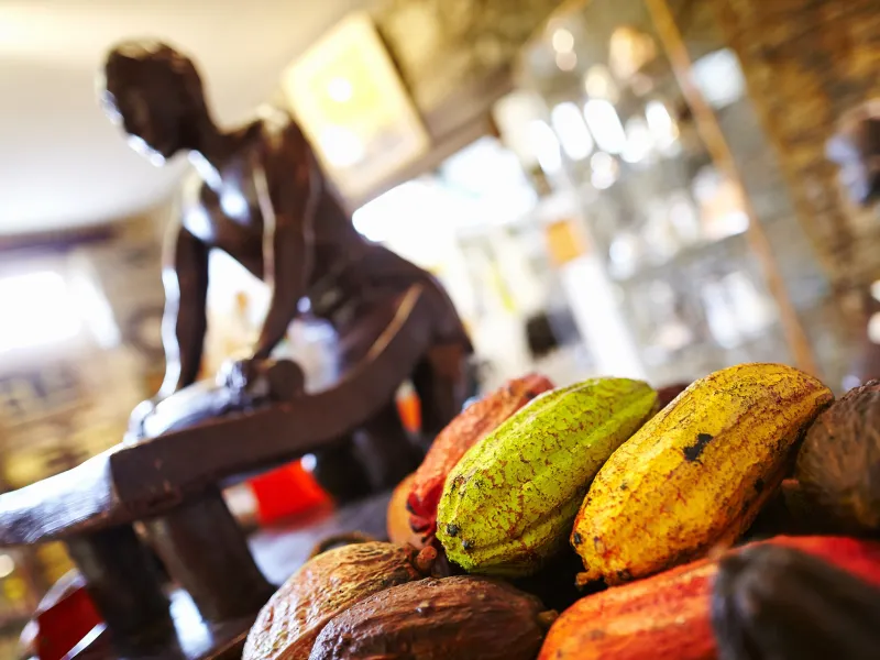 Bayonne et le chocolat, une spécialité locale