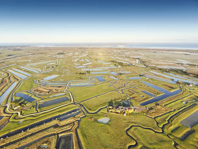 MARAIS BRETON_a.lamoureux_vendee_expansion