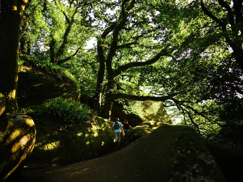 La forêt de Huelgoat en liaison