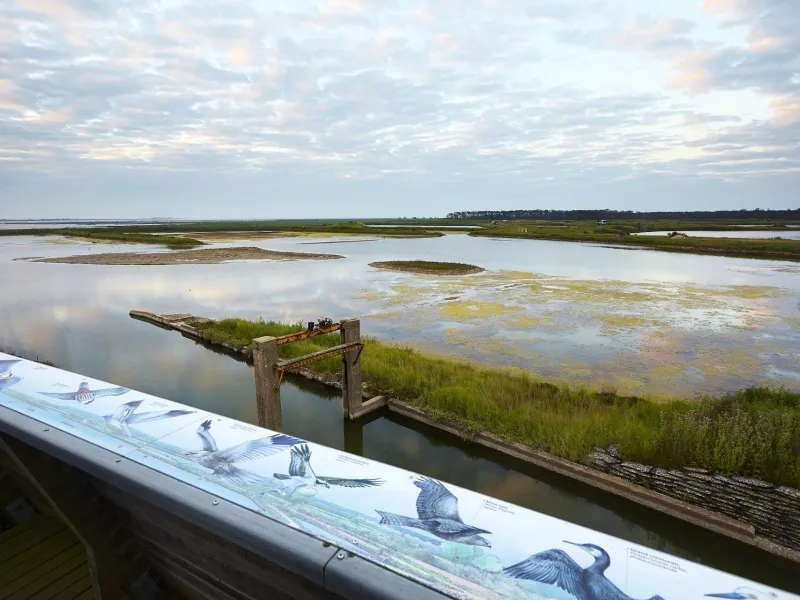 La Pointe d'Arçay dans la Baie d'Aiguillon