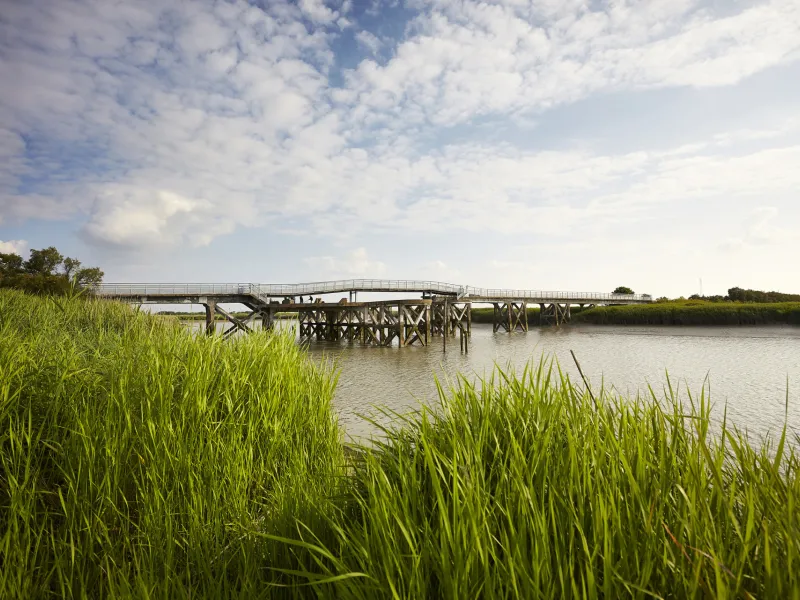 Pont en bois dans le Marais Poitevin à vélo
