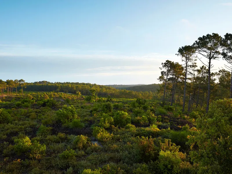 La Vélodyssée : de Bordeaux à Biarritz (ou Hendaye)