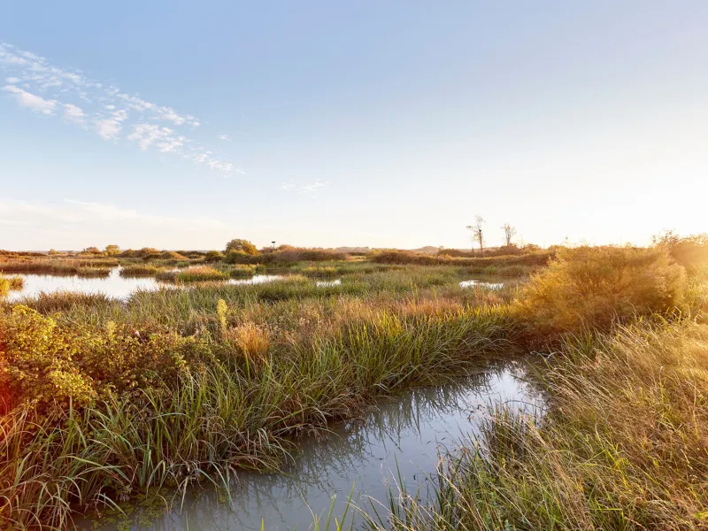 Saint Denis du Payré - Marais Poitevin