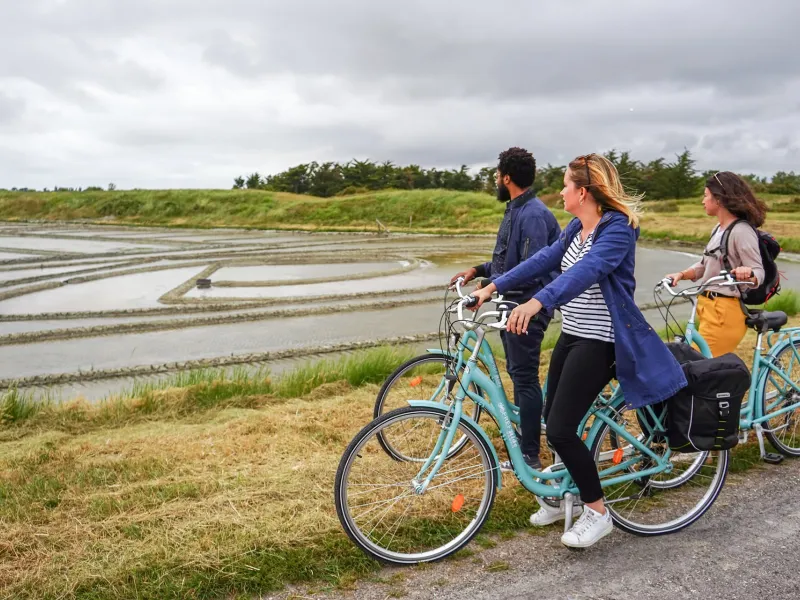 Salines de Millac - Les Moutiers en Retz