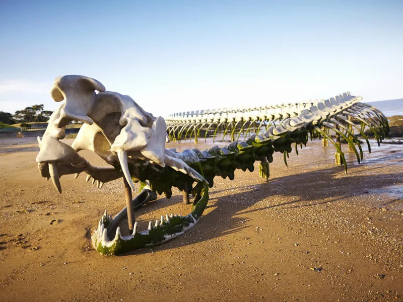 Le Serpent d'Océan - Oeuvre Estuaire