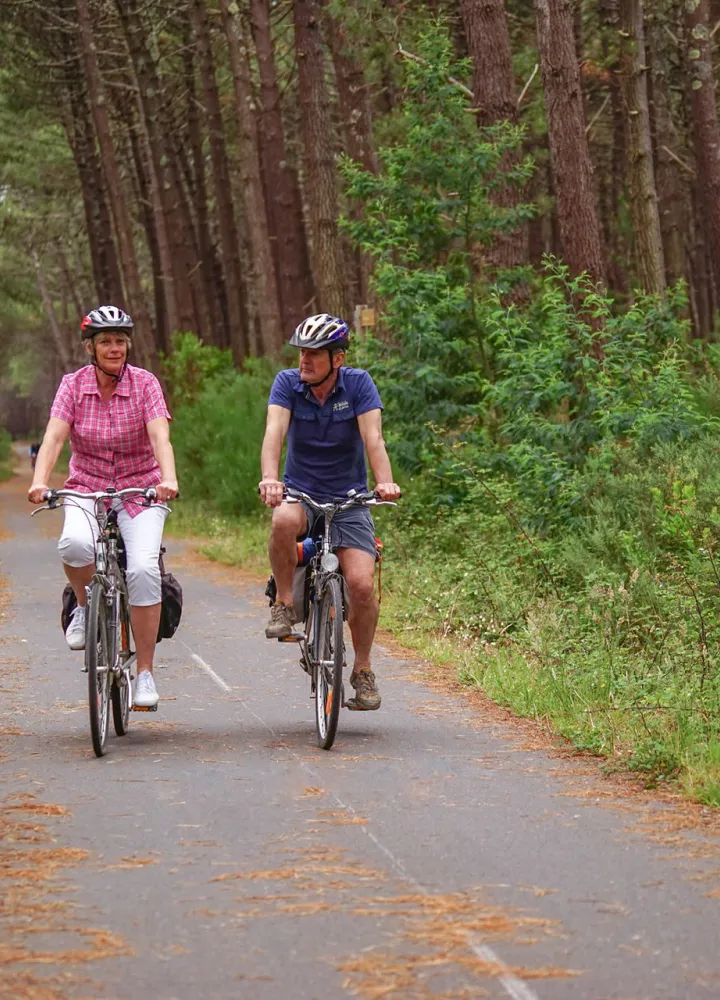 Forêt des Landes - Mimizan