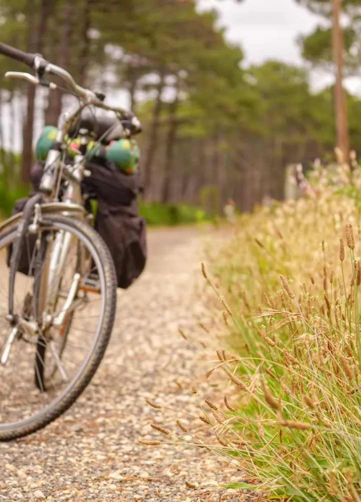 Voyage et itinérance à vélo sur La Vélodyssée