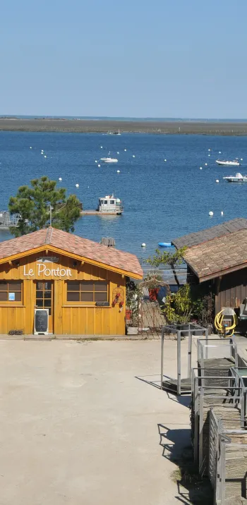00000493_la_balaguere_arcachon.jpg