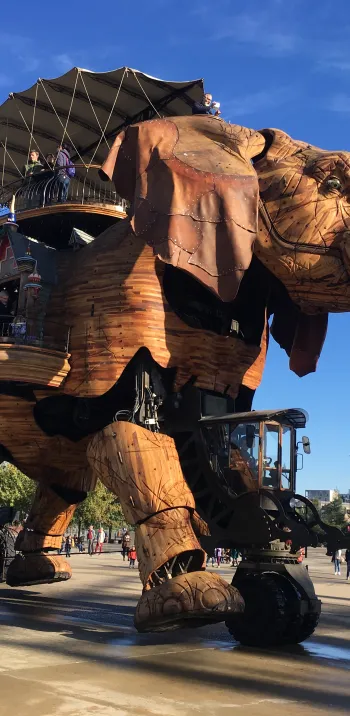 IMG_5049 - Evazio.JPG