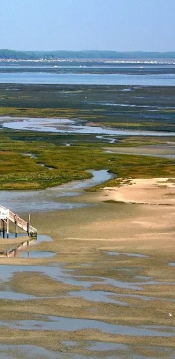 Tour du bassin d’Arcachon à vélo – Vélodyssée