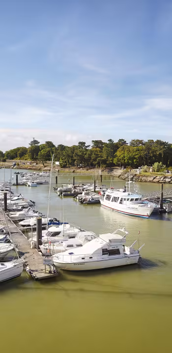 La Vélodyssée : de La Rochelle à Biarritz (ou Hendaye)