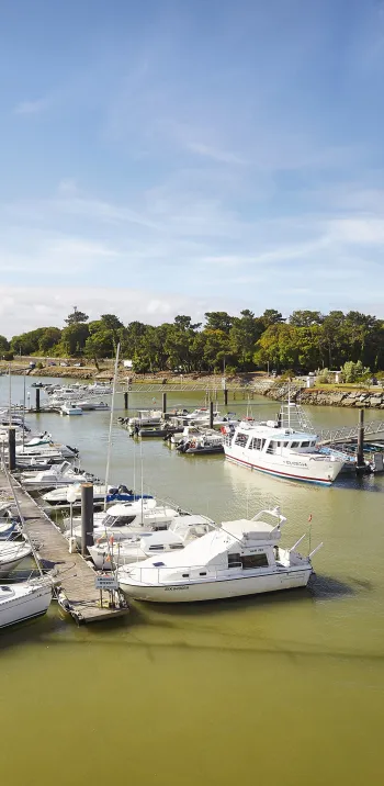 La Vélodyssée : de La Rochelle à Biarritz (ou Hendaye)