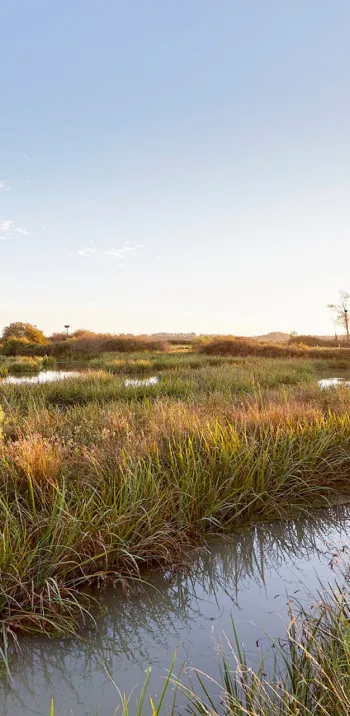 Saint Denis du Payré - Marais Poitevin