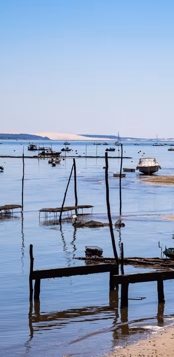 La Vélodyssée : 42 km de balade à vélo sur le Bassin d'Arcachon