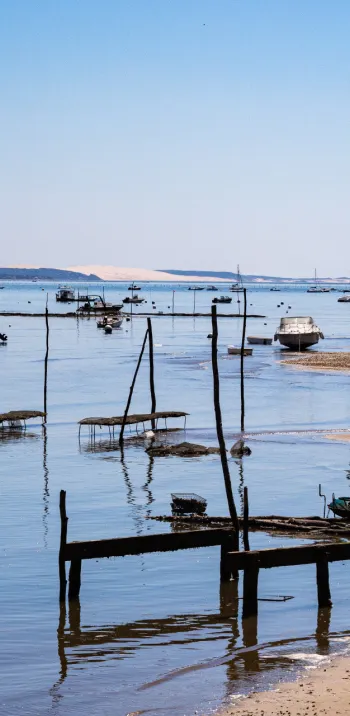 La Vélodyssée : 42 km de balade à vélo sur le Bassin d'Arcachon