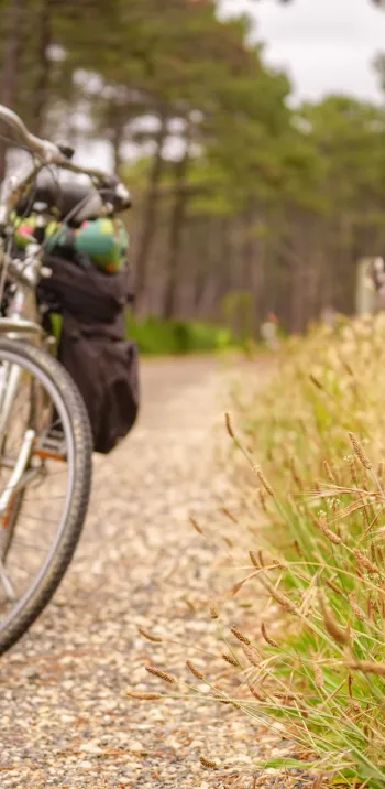 Voyage et itinérance à vélo sur La Vélodyssée.jpg