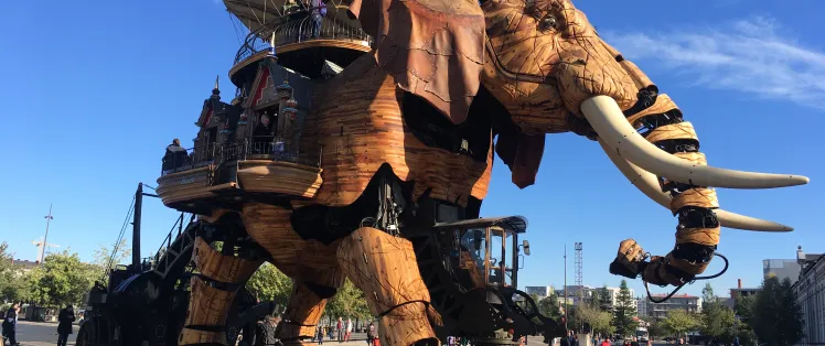 IMG_5049 - Evazio.JPG