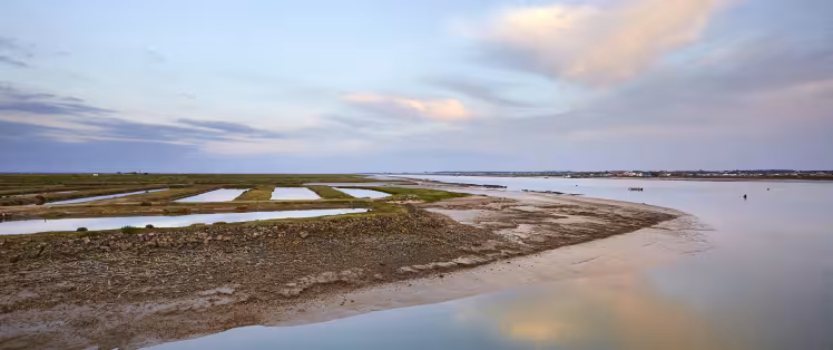 estuaire_de_la_seudre.jpg