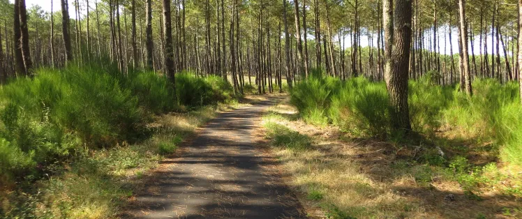 la rochelle-bordeaux_1.jpg