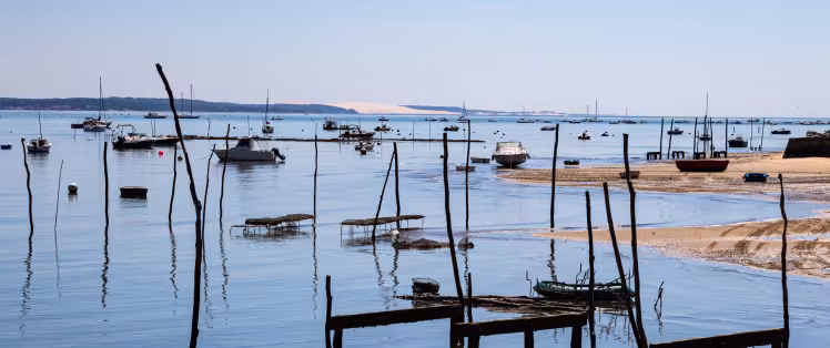 La Vélodyssée : 42 km de balade à vélo sur le Bassin d'Arcachon