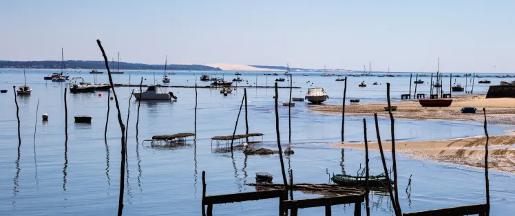 La Vélodyssée : 42 km de balade à vélo sur le Bassin d'Arcachon
