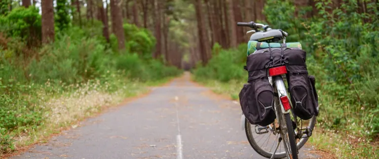 Forêt des Landes_essentiels_voyage_vélo