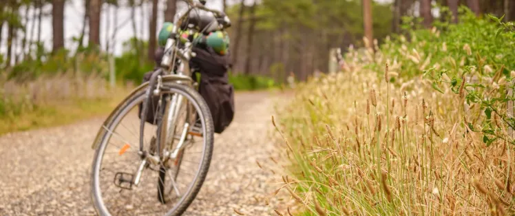 Voyage et itinérance à vélo sur La Vélodyssée.jpg