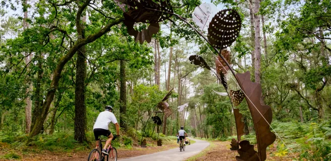 Les Landes, entre pins, lacs et océan