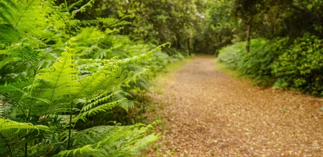 La Vélodyssée en Vendée