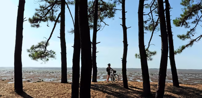 De La Rochelle à Arcachon : la côte Atlantique à vélo