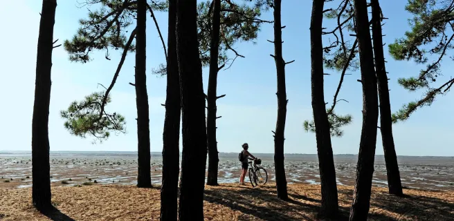 De La Rochelle à Arcachon : la côte Atlantique à vélo
