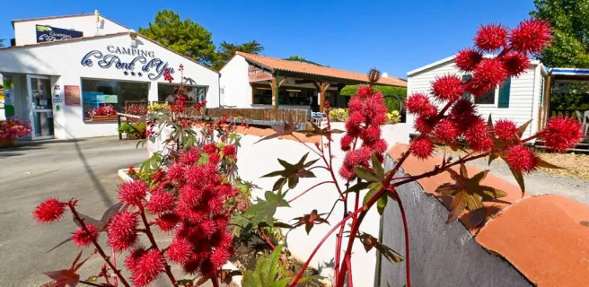 Camping le Pont d'Yeu