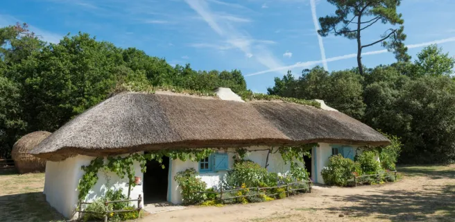 Pays de Saint Gilles Croix de Vie