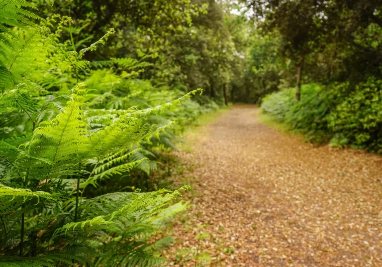 La Vélodyssée en Vendée