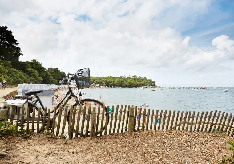 La Vélodyssée : séjour gastronomique à vélo