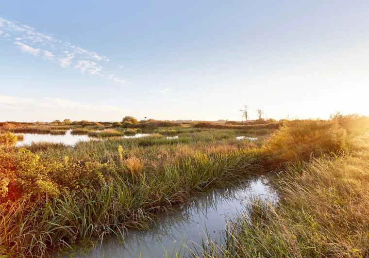 Saint Denis du Payré - Marais Poitevin