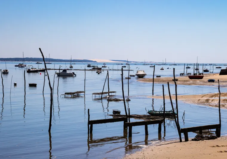 Unsplash - Tanja Cotoaga