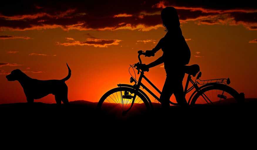 homme sur bicyclette avec son chien qui court a cote