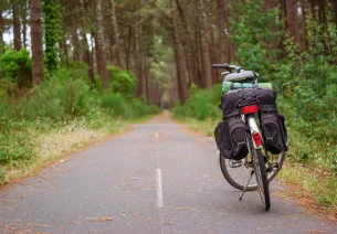 Vélo dans les Landes