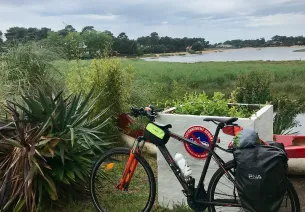 vélo dans la nature landaise