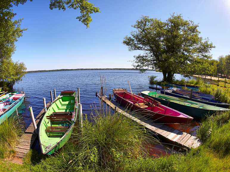 Barques sur les lacs de landes - Léon