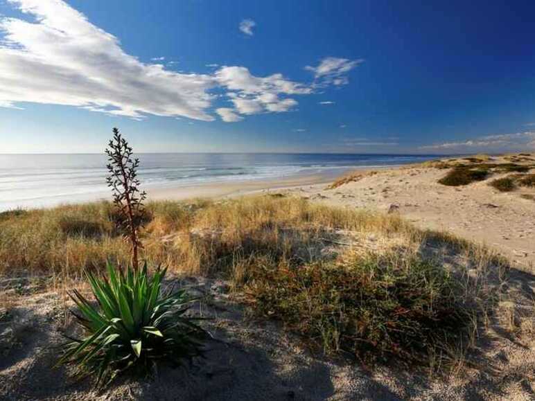 plage biscarrosse la velodyssee